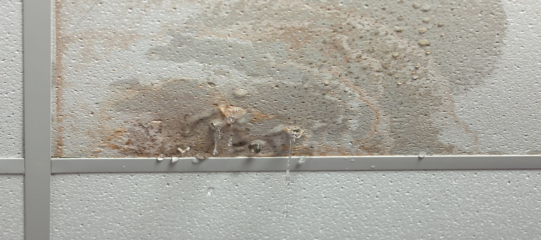 Water drips from a stained and damaged ceiling tile, indicating a leak