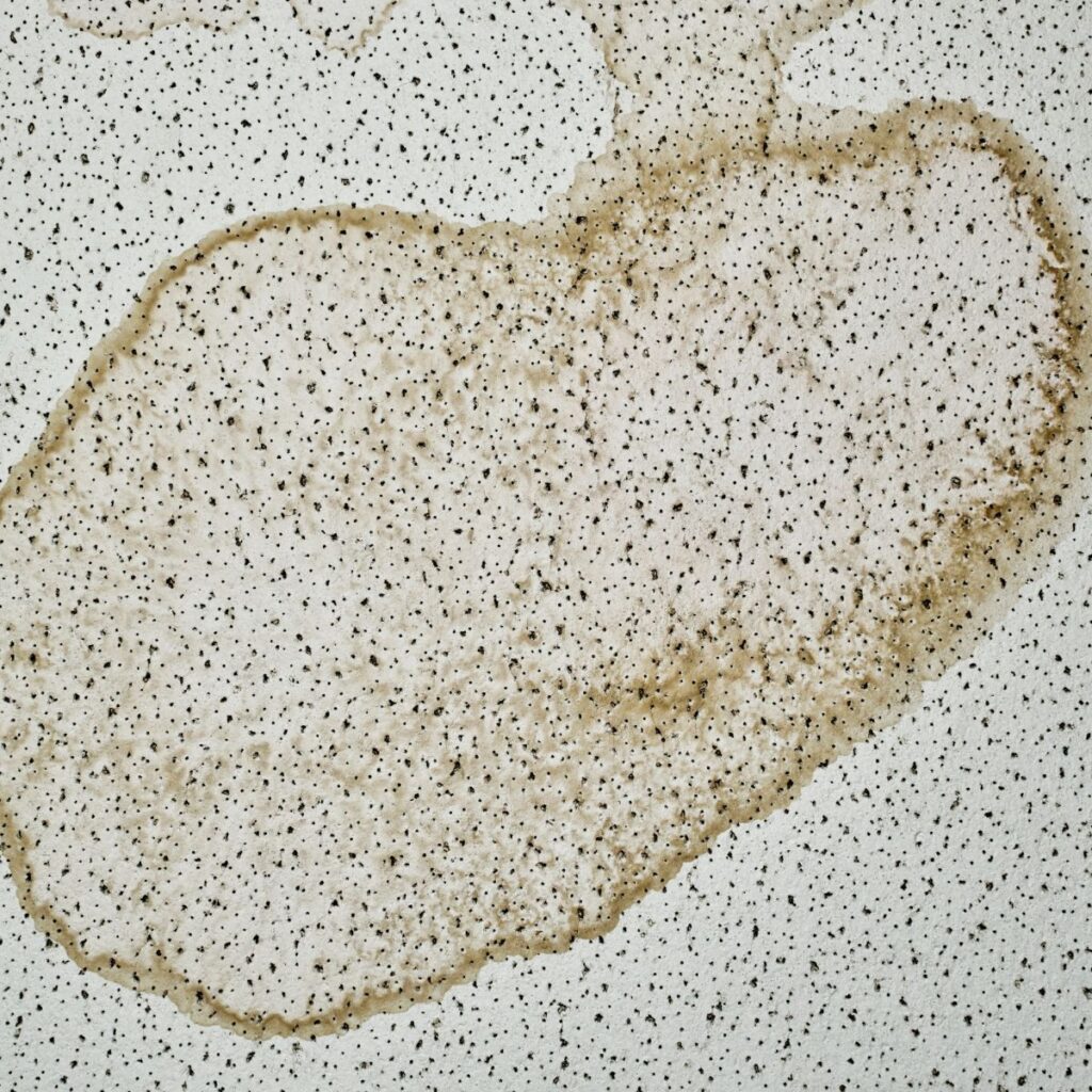 Large, irregular brown water stains are visible on a white speckled ceiling tile