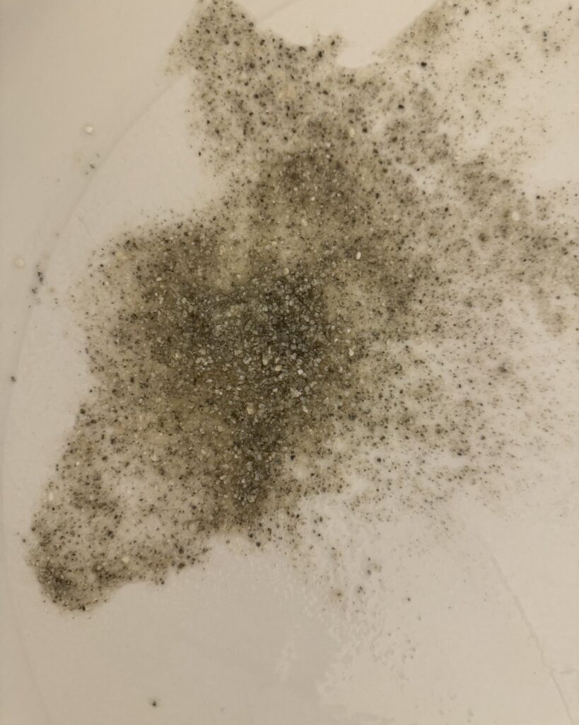 Gritty gray and white sediment flushed from water heaters, spread across a white tub in Stone Oak